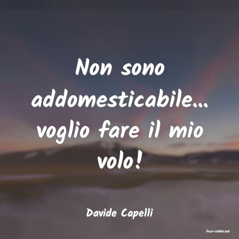 frasi di Davide Capelli