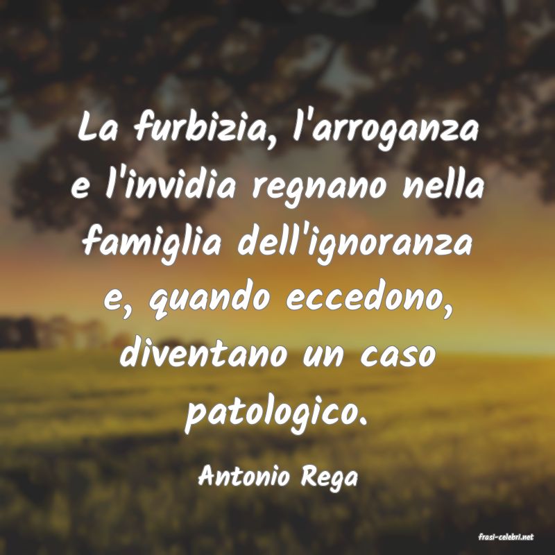 frasi di Antonio Rega
