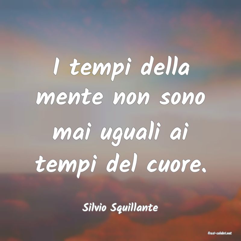frasi di  Silvio Squillante
