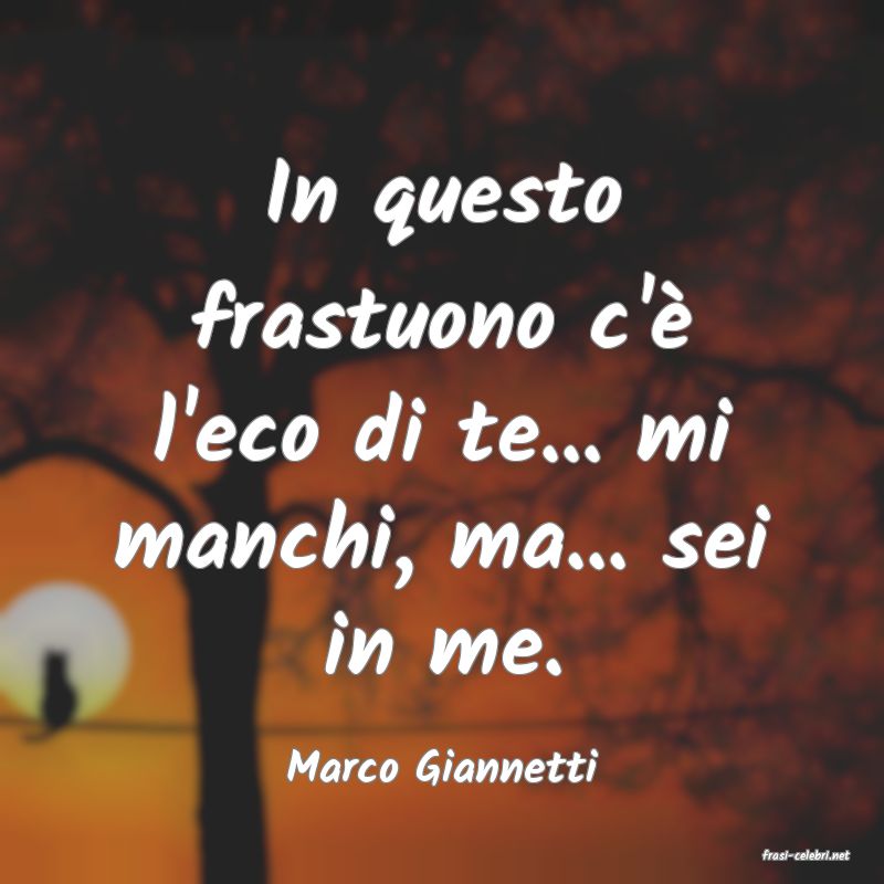 frasi di  Marco Giannetti
