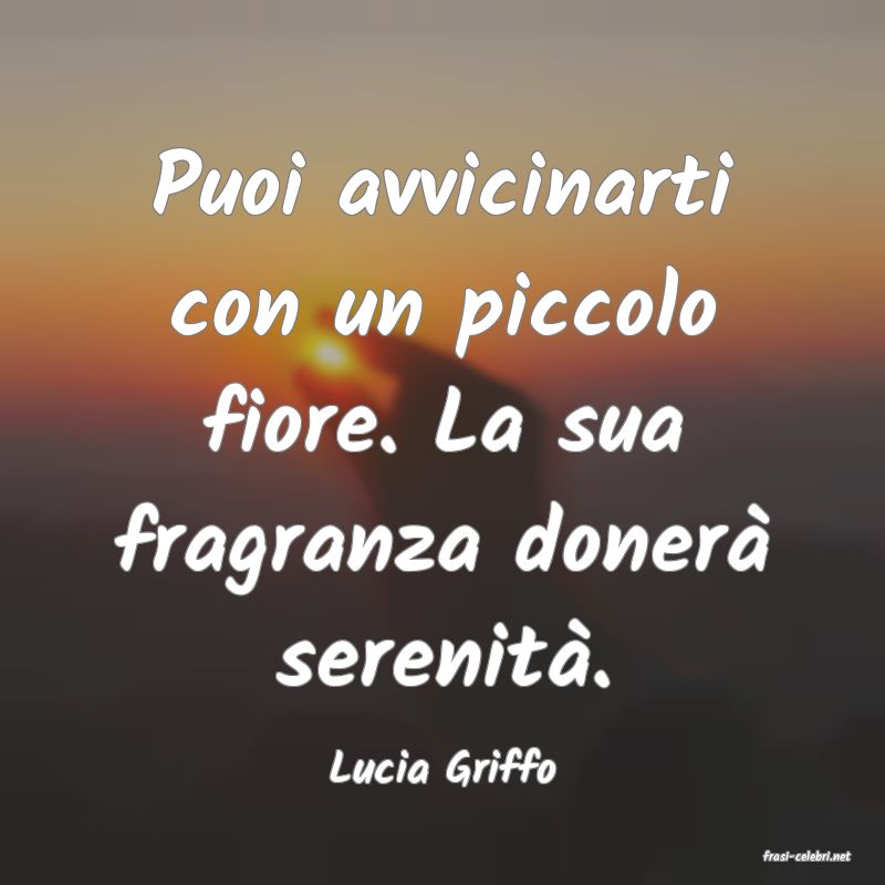 frasi di  Lucia Griffo
