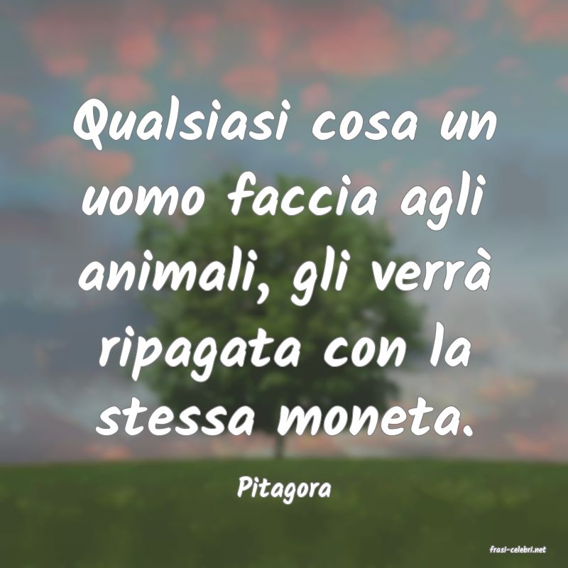 frasi di  Pitagora
