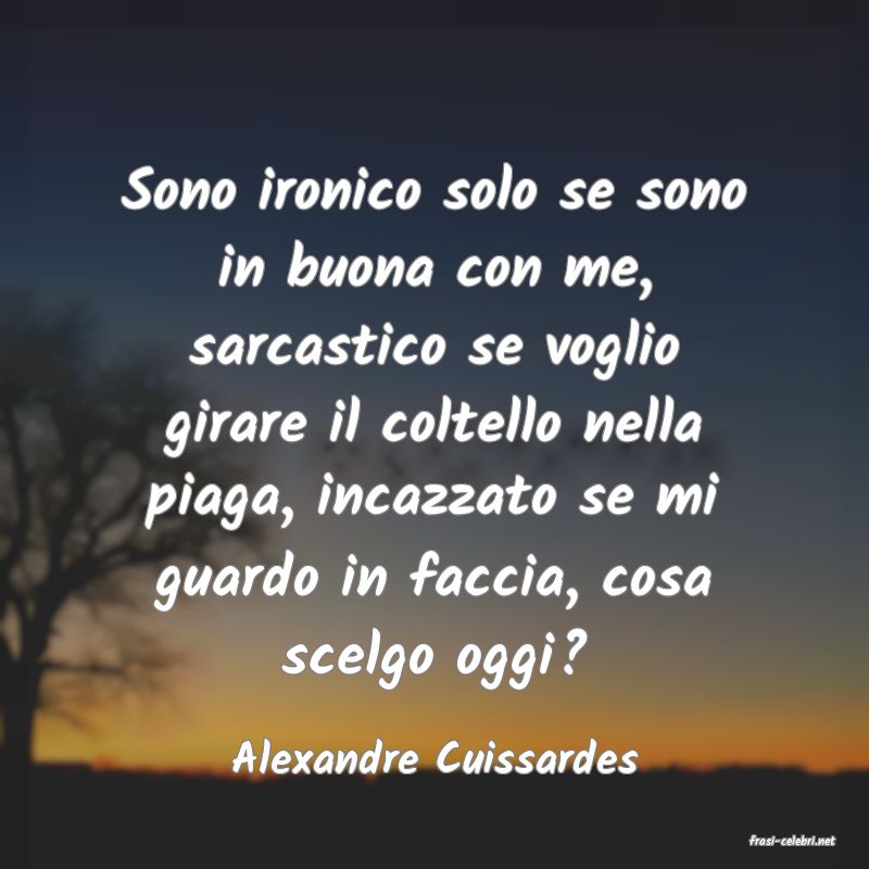 frasi di  Alexandre Cuissardes

