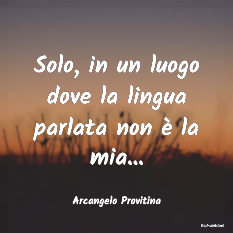 frasi di  Arcangelo Provitina
