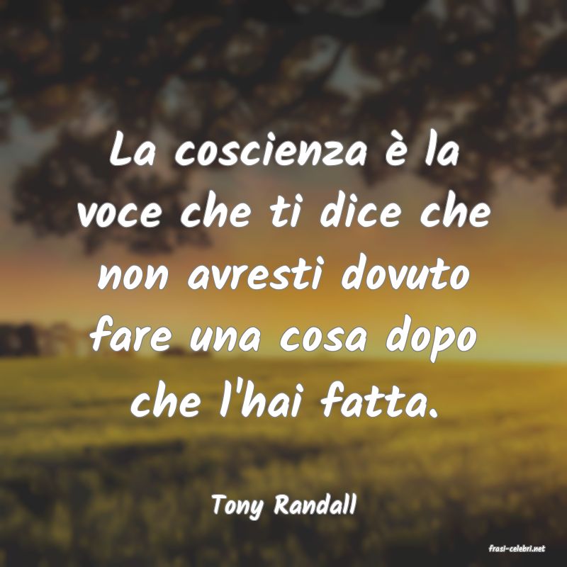 frasi di Tony Randall