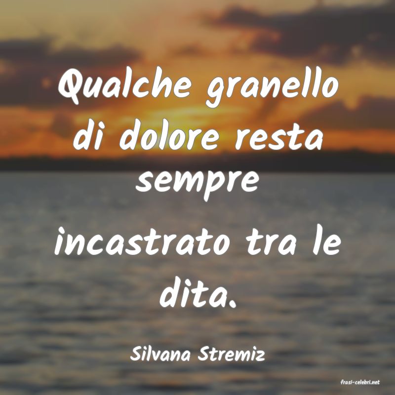 frasi di Silvana Stremiz