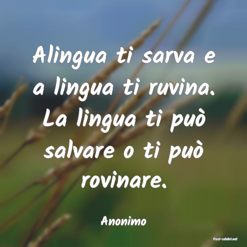 frasi di Anonimo