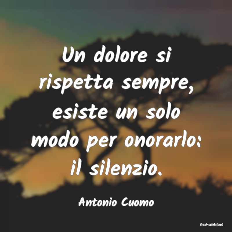 frasi di  Antonio Cuomo
