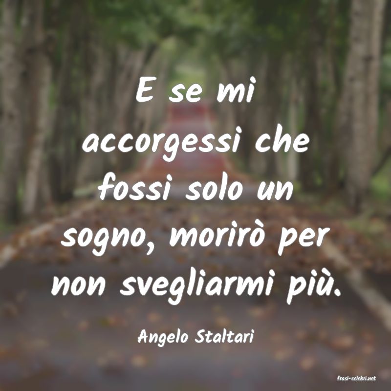 frasi di  Angelo Staltari
