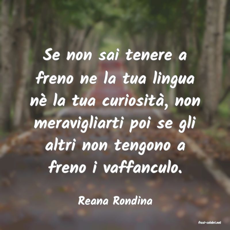 frasi di  Reana Rondina
