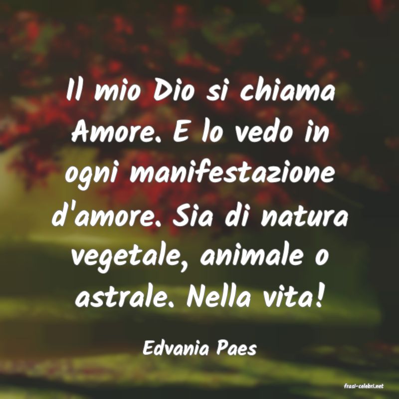 frasi di  Edvania Paes
