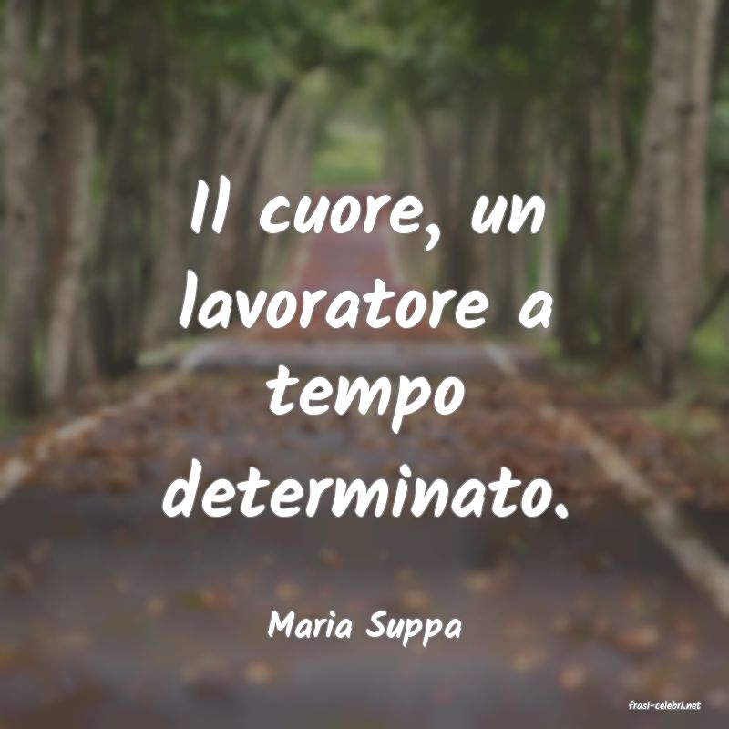 frasi di  Maria Suppa

