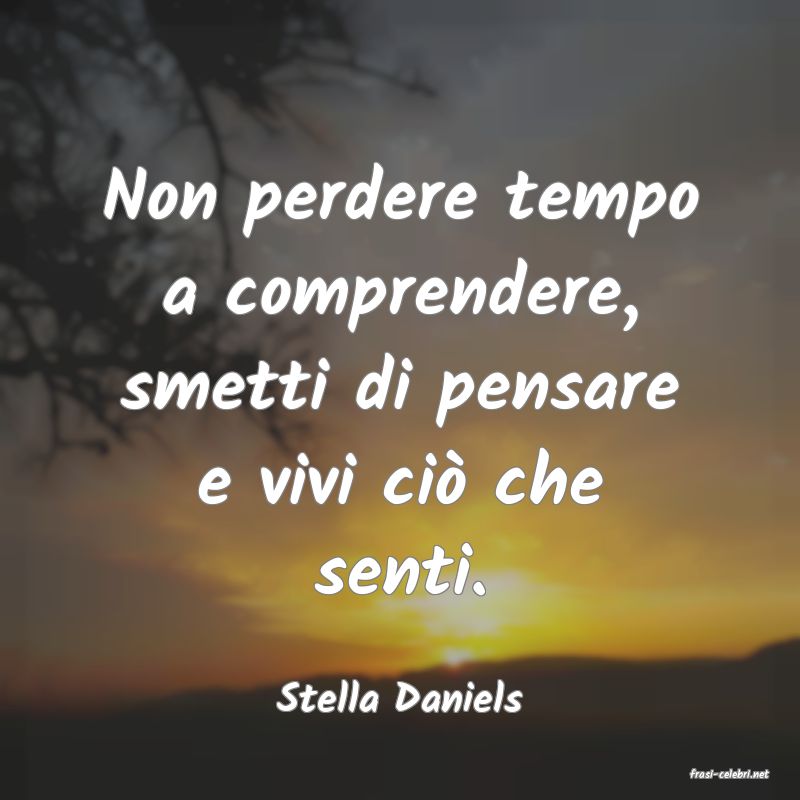 frasi di  Stella Daniels
