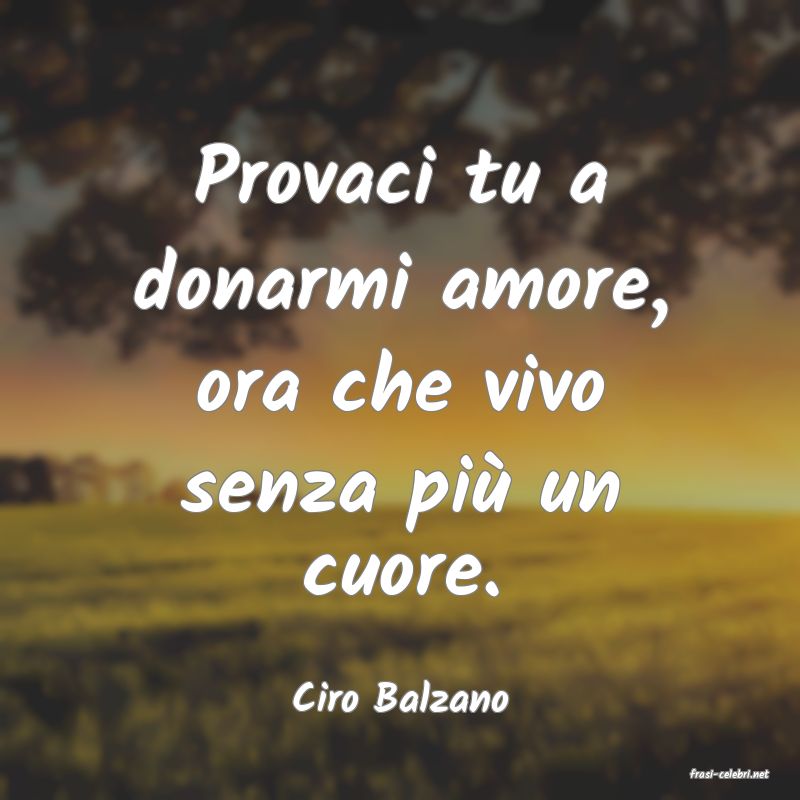 frasi di  Ciro Balzano
