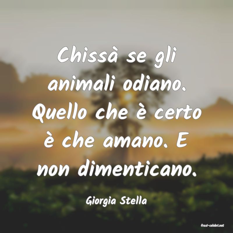 frasi di  Giorgia Stella
