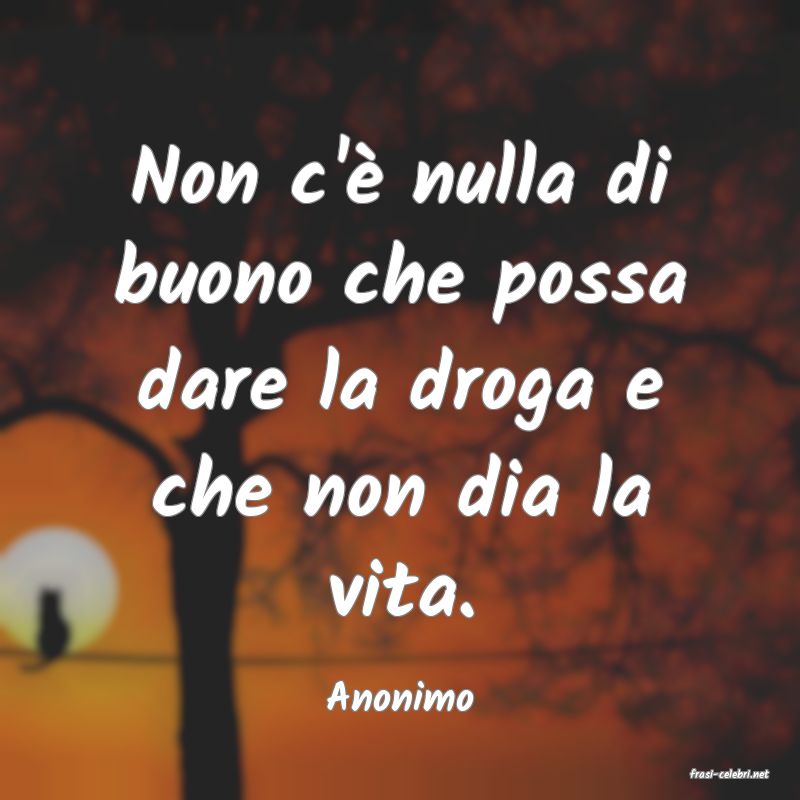 frasi di  Anonimo
