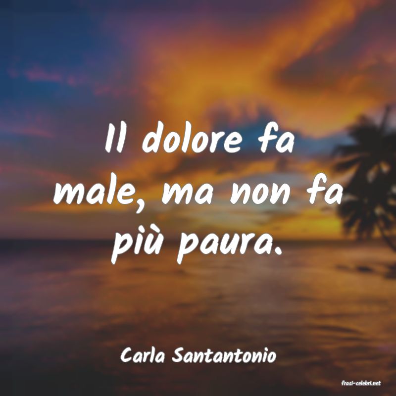 frasi di Carla Santantonio