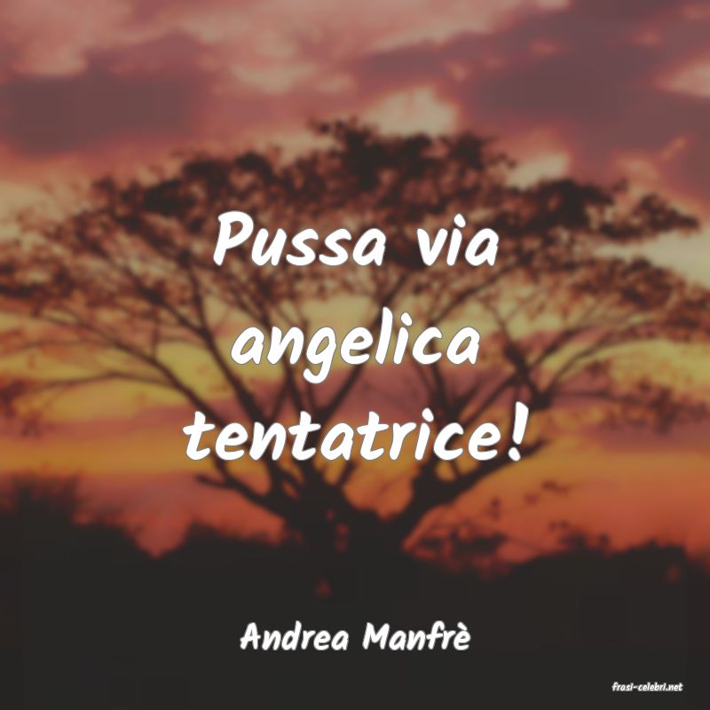 frasi di Andrea Manfr�