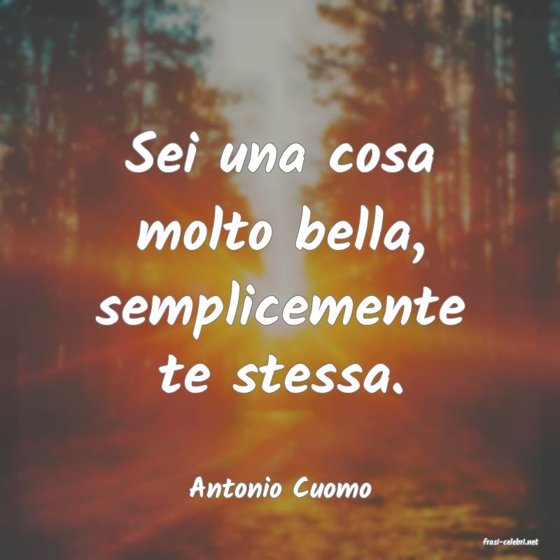 frasi di  Antonio Cuomo
