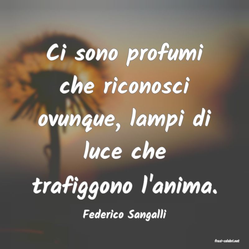 frasi di  Federico Sangalli
