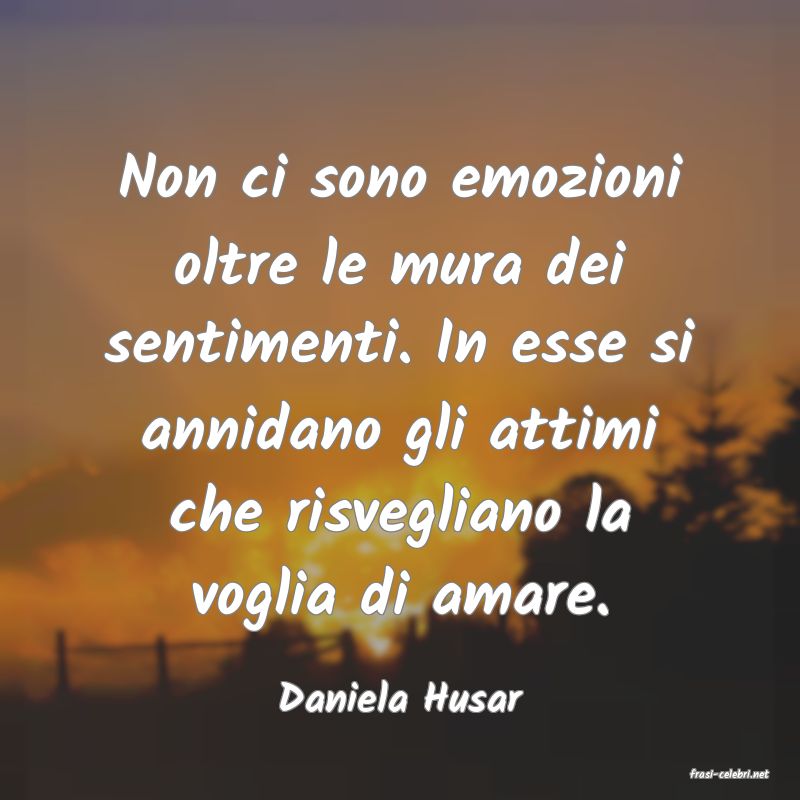 frasi di  Daniela Husar
