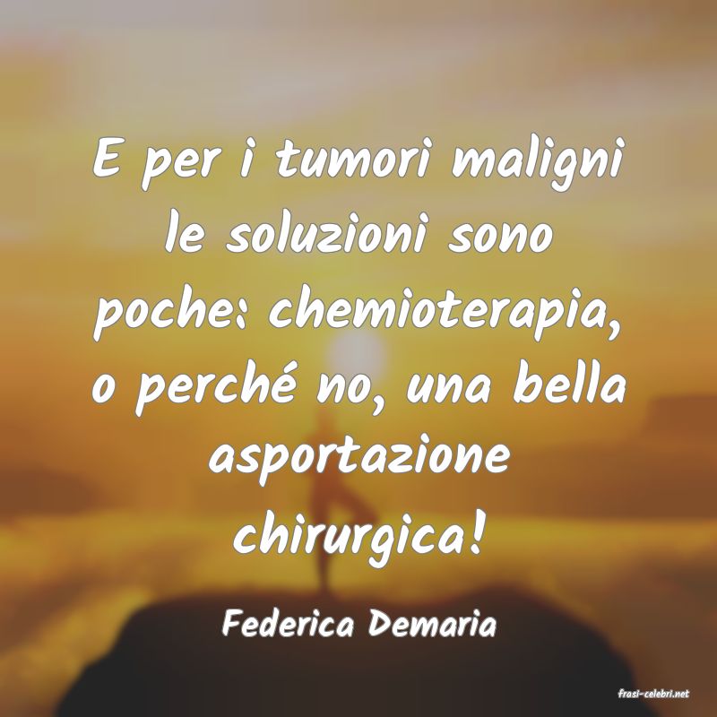 frasi di  Federica Demaria
