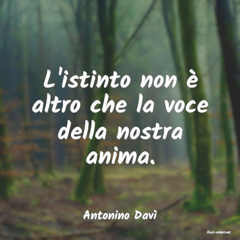 frasi di Antonino Dav
