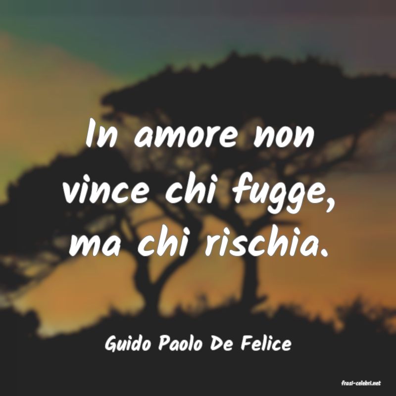 frasi di  Guido Paolo De Felice
