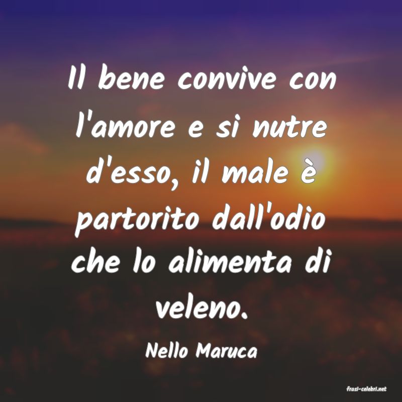 frasi di  Nello Maruca
