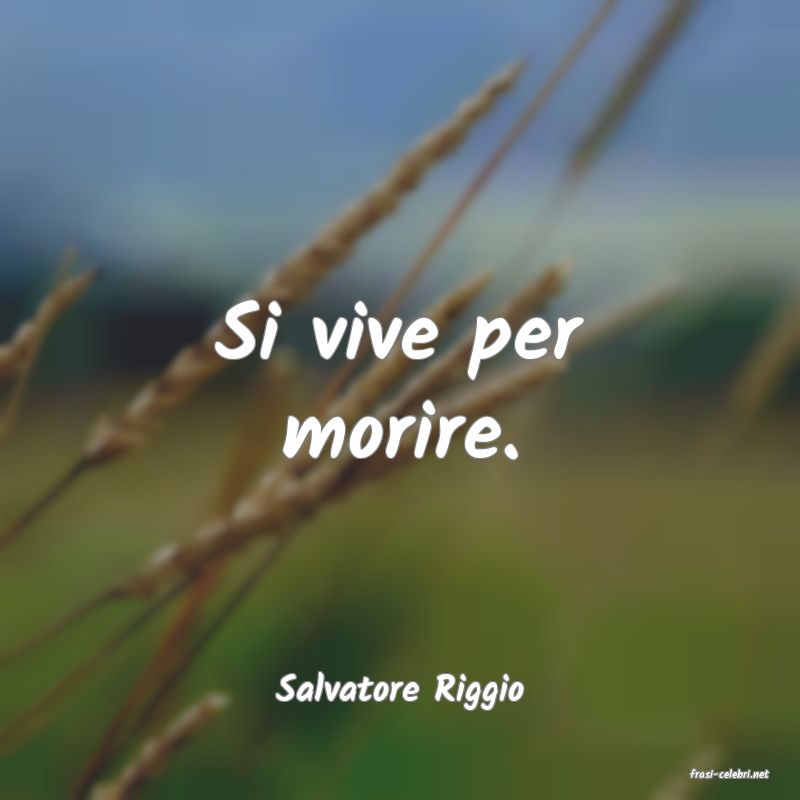 frasi di  Salvatore Riggio
