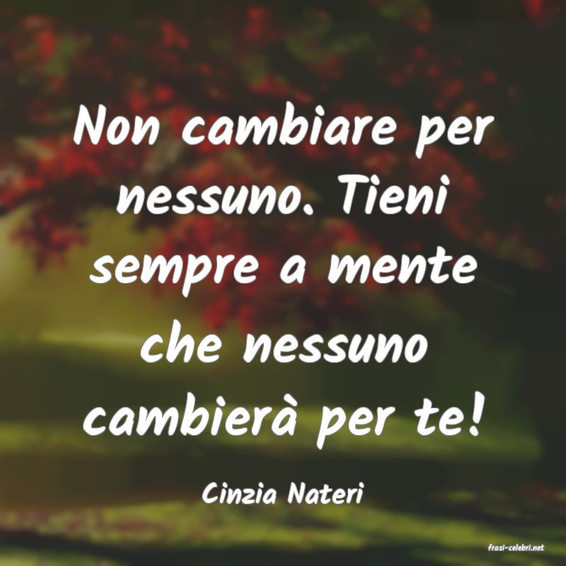 frasi di  Cinzia Nateri
