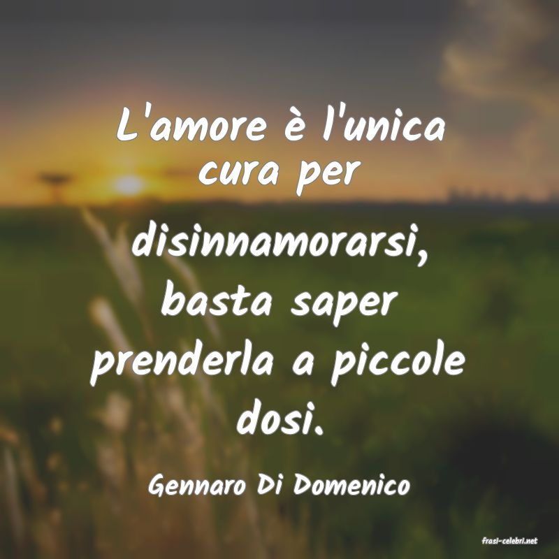 frasi di  Gennaro Di Domenico
