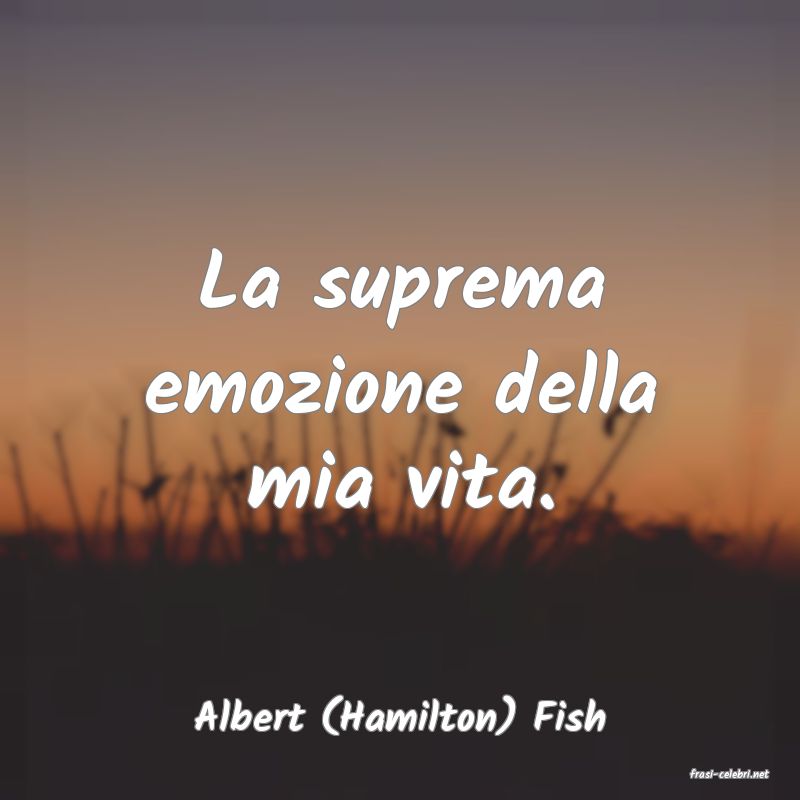 frasi di Albert (Hamilton) Fish