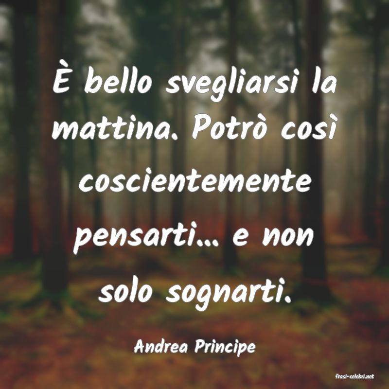 frasi di Andrea Principe