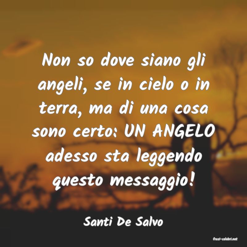 frasi di Santi De Salvo