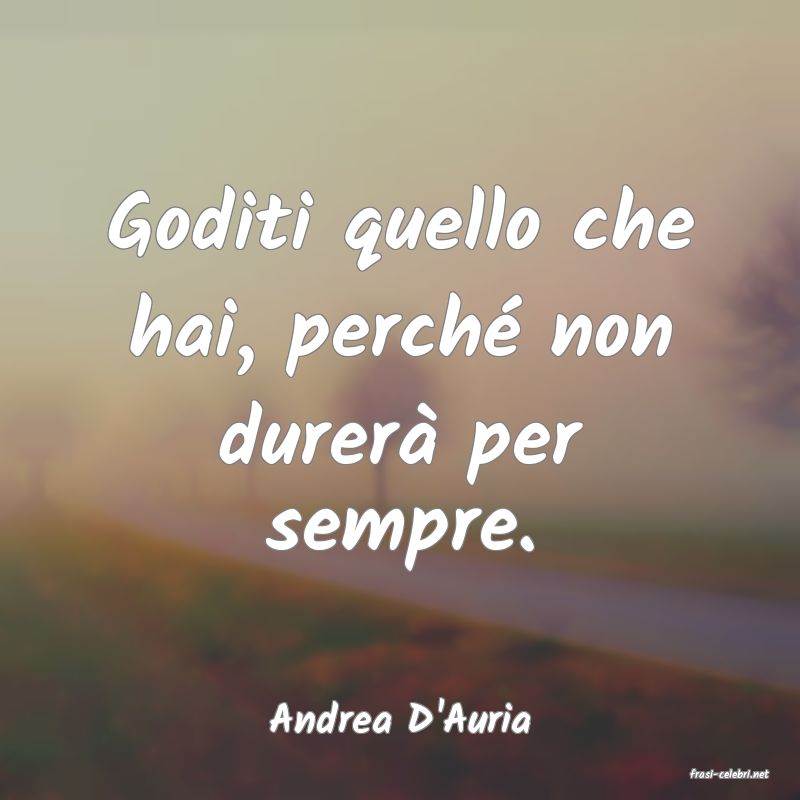 frasi di Andrea D'Auria