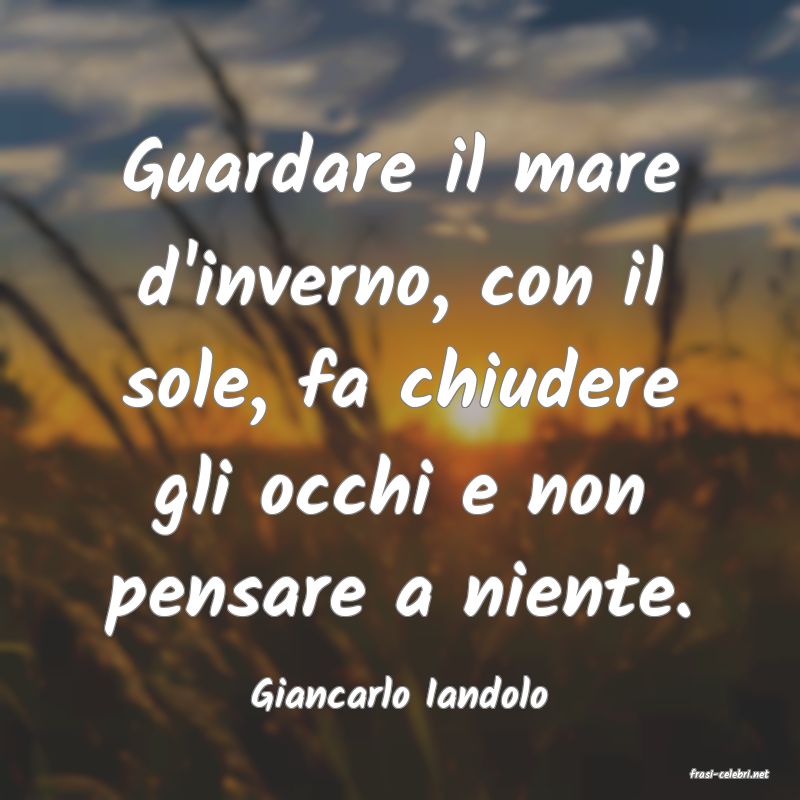 frasi di  Giancarlo Iandolo
