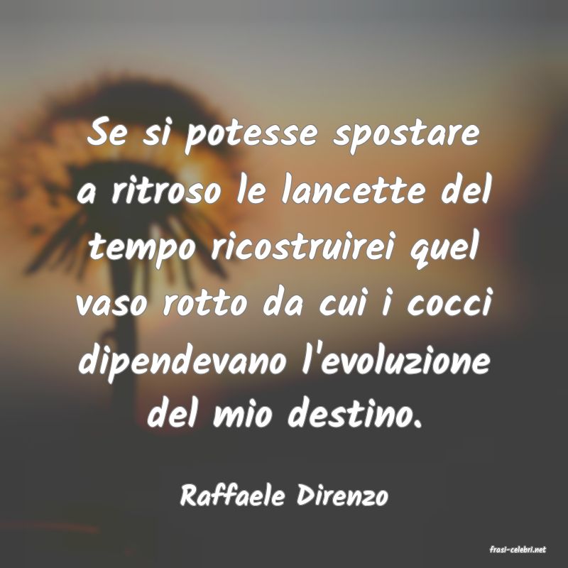 frasi di  Raffaele Direnzo
