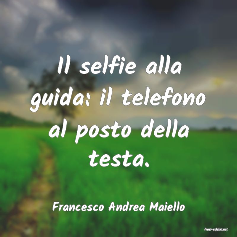frasi di  Francesco Andrea Maiello
