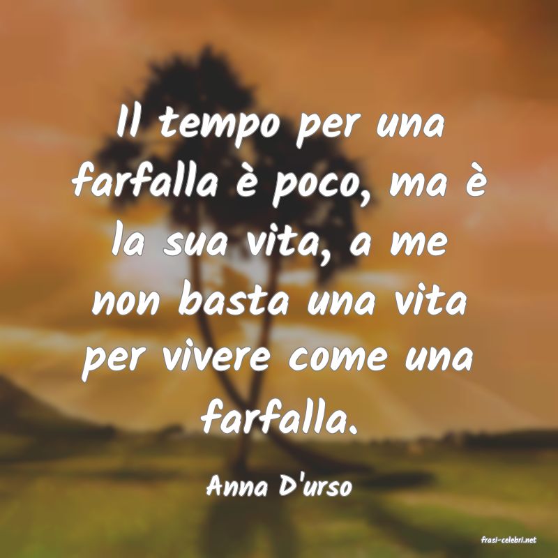 frasi di Anna D'urso