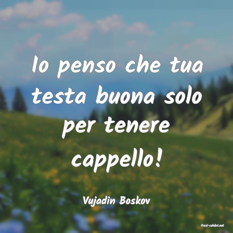 frasi di  Vujadin Boskov
