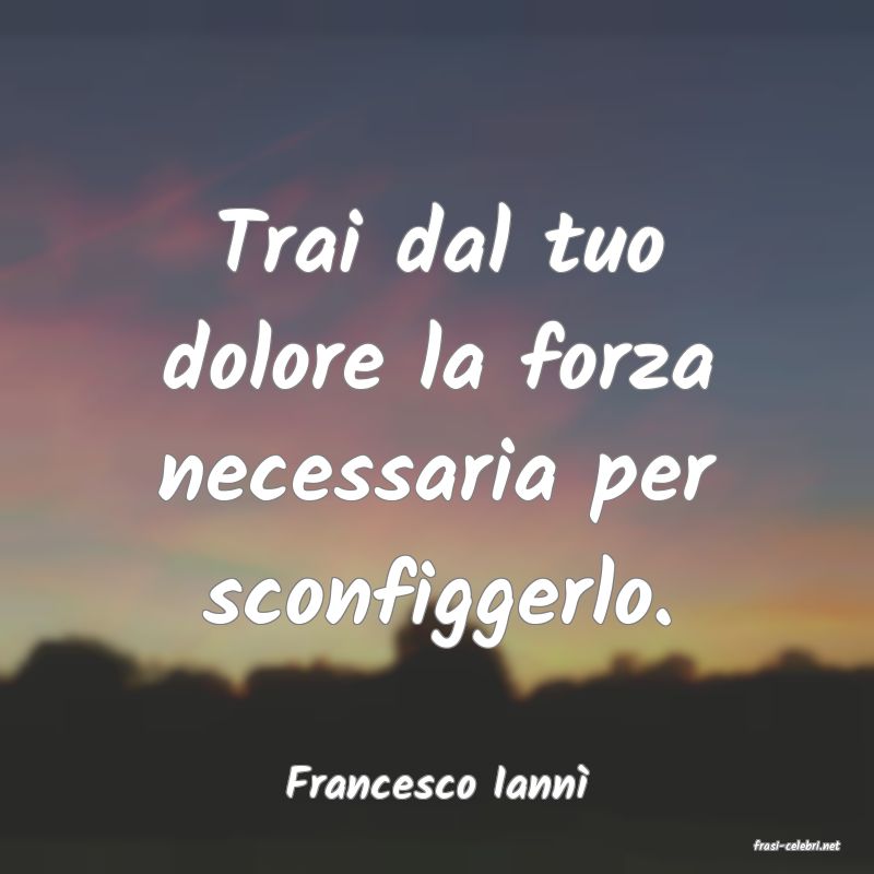 frasi di Francesco Iann�