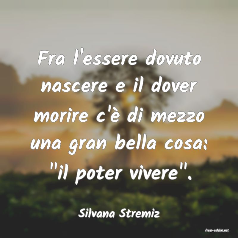 frasi di Silvana Stremiz