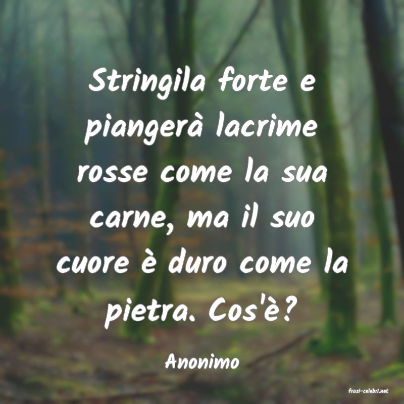 frasi di Anonimo