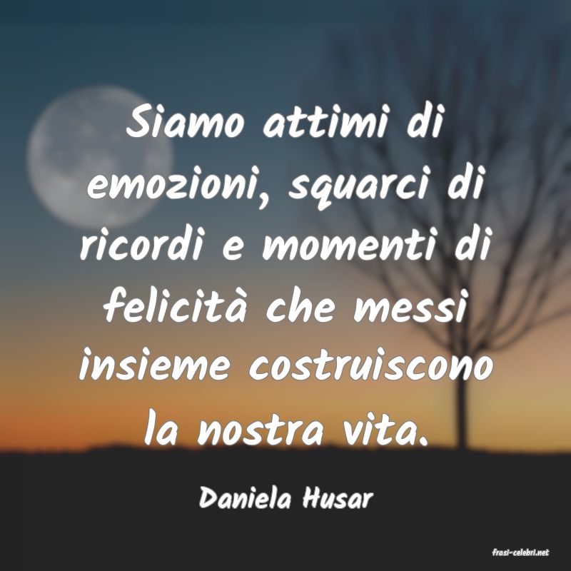 frasi di  Daniela Husar
