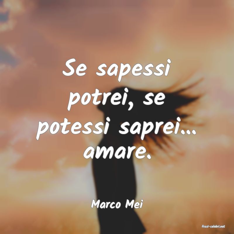 frasi di  Marco Mei
