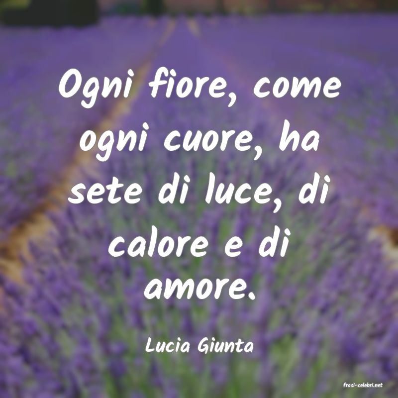 frasi di  Lucia Giunta
