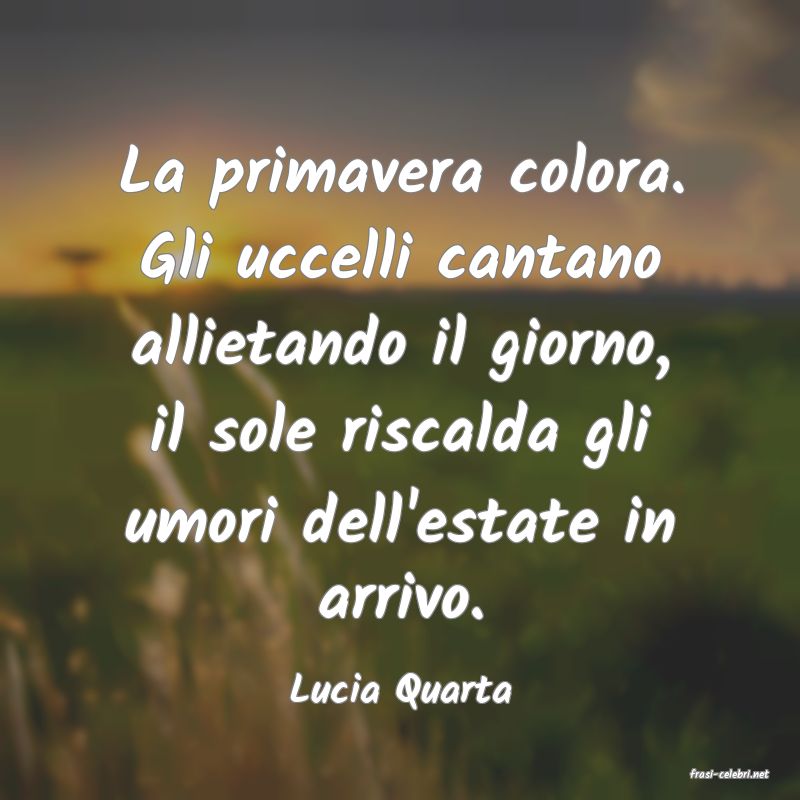 frasi di  Lucia Quarta
