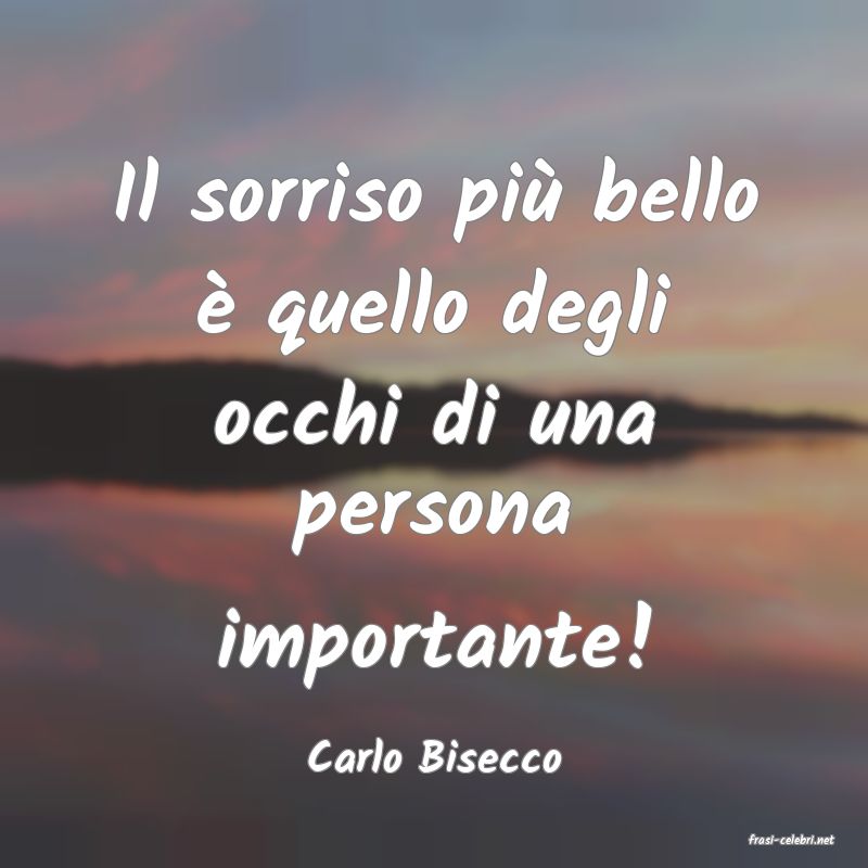 frasi di  Carlo Bisecco

