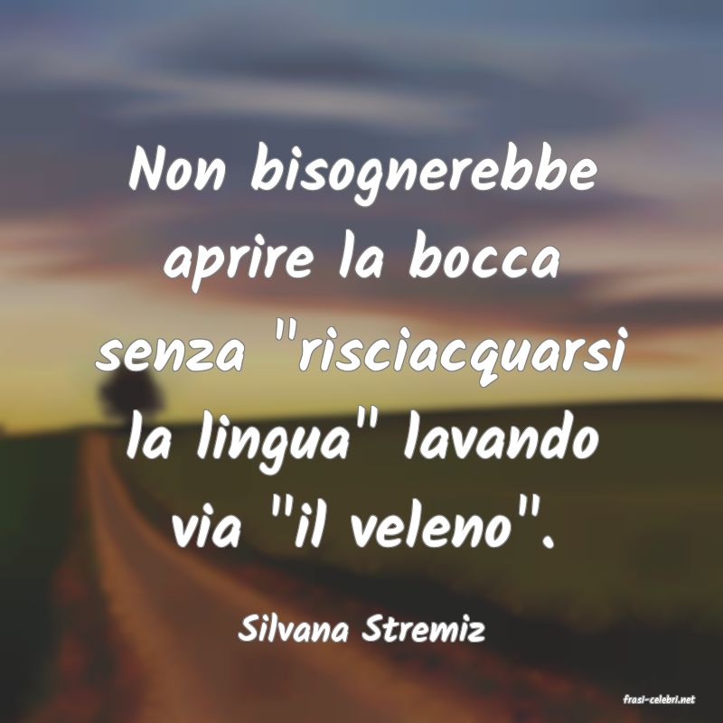 frasi di  Silvana Stremiz
